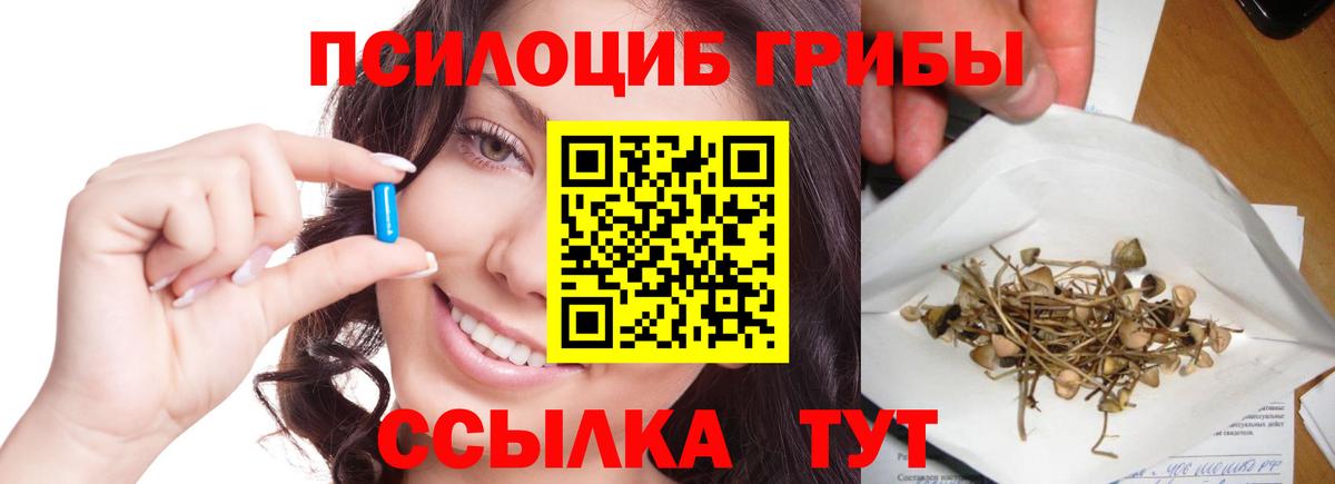 Чайковский  Галлюциногенные грибы мицелий  Псилоцибиновые грибы Psilocybine cubensis  Вход с VPN 